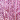 Shimmer Pink